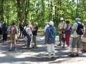 2014-07-03 10-08-58 Rando foret de Nemours FGn